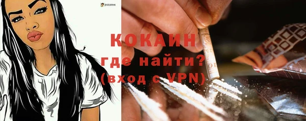 индика Остров