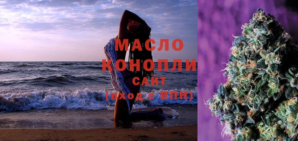 дмт Осинники