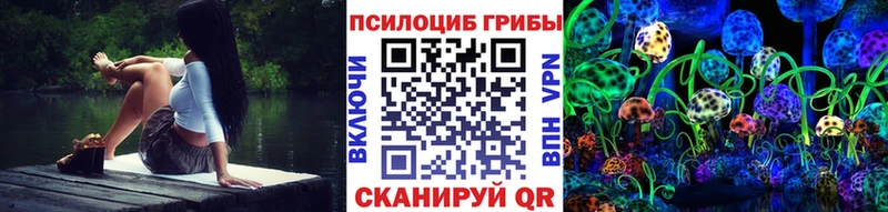 площадка официальный сайт Княгинино Псилоцибиновые грибы MAGIC MUSHROOMS